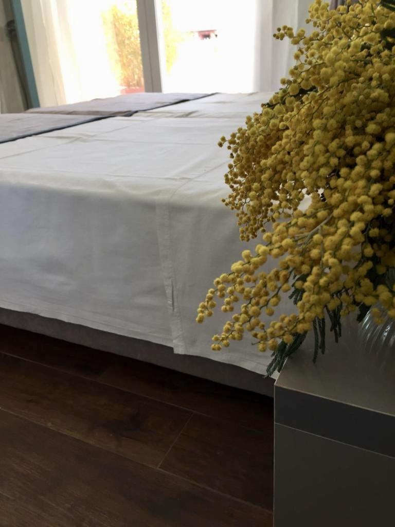 Amberyellowbnb Shkodër Eksteriør billede